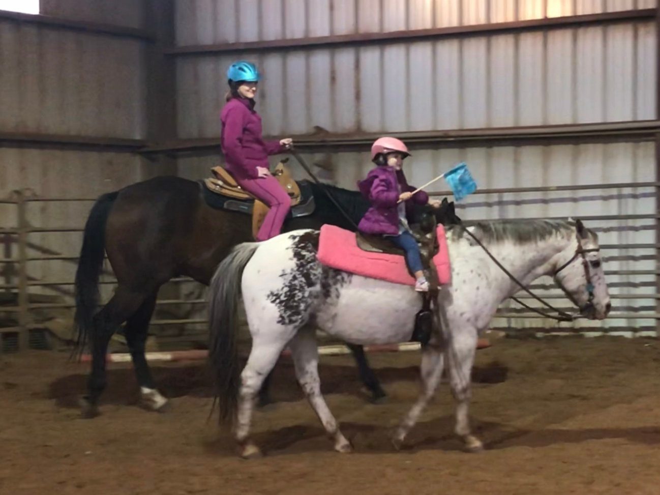 A young rider in a helmet rides a dark horse in the covered arena.