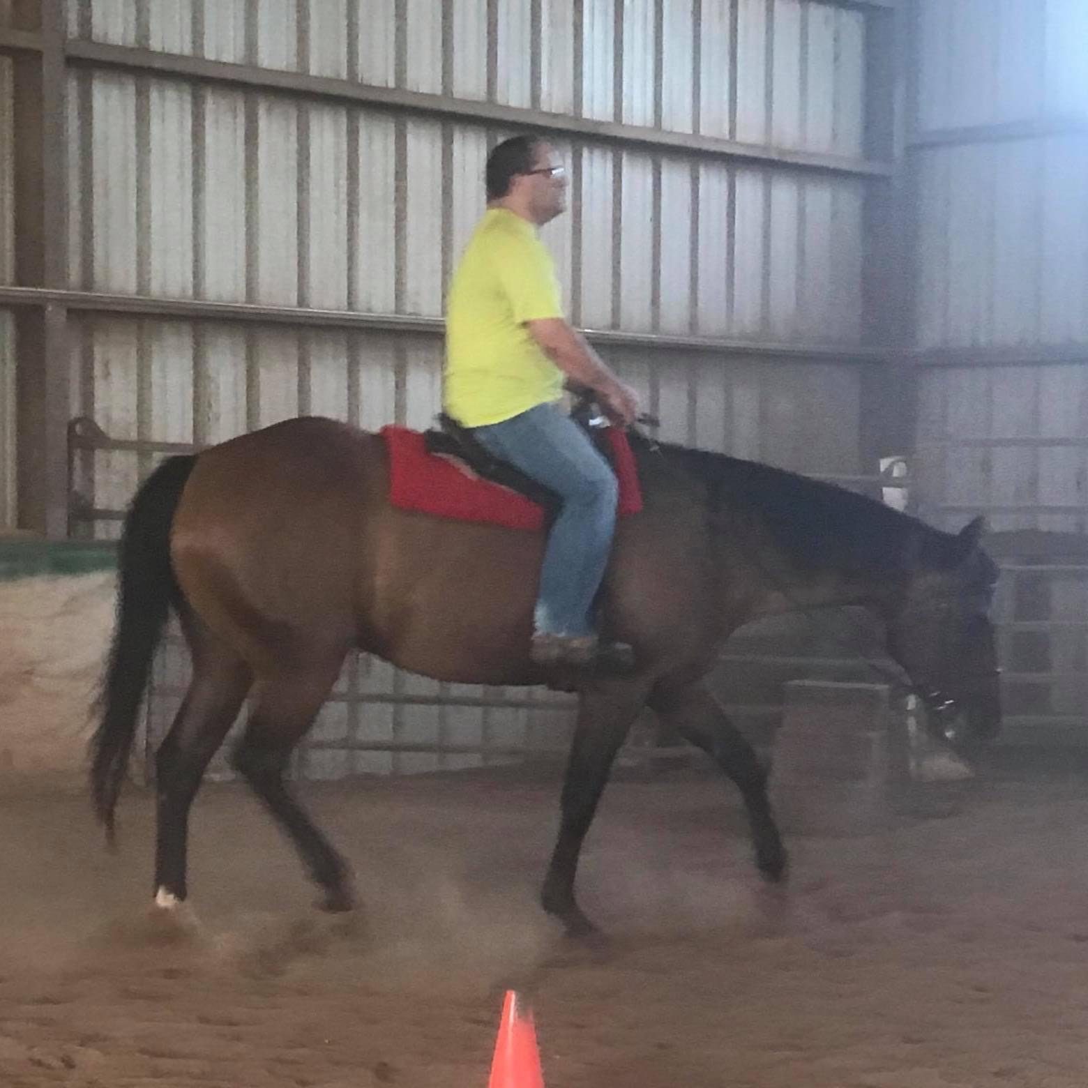 A rider on Bentley, a bay horse, in the indoor arena.