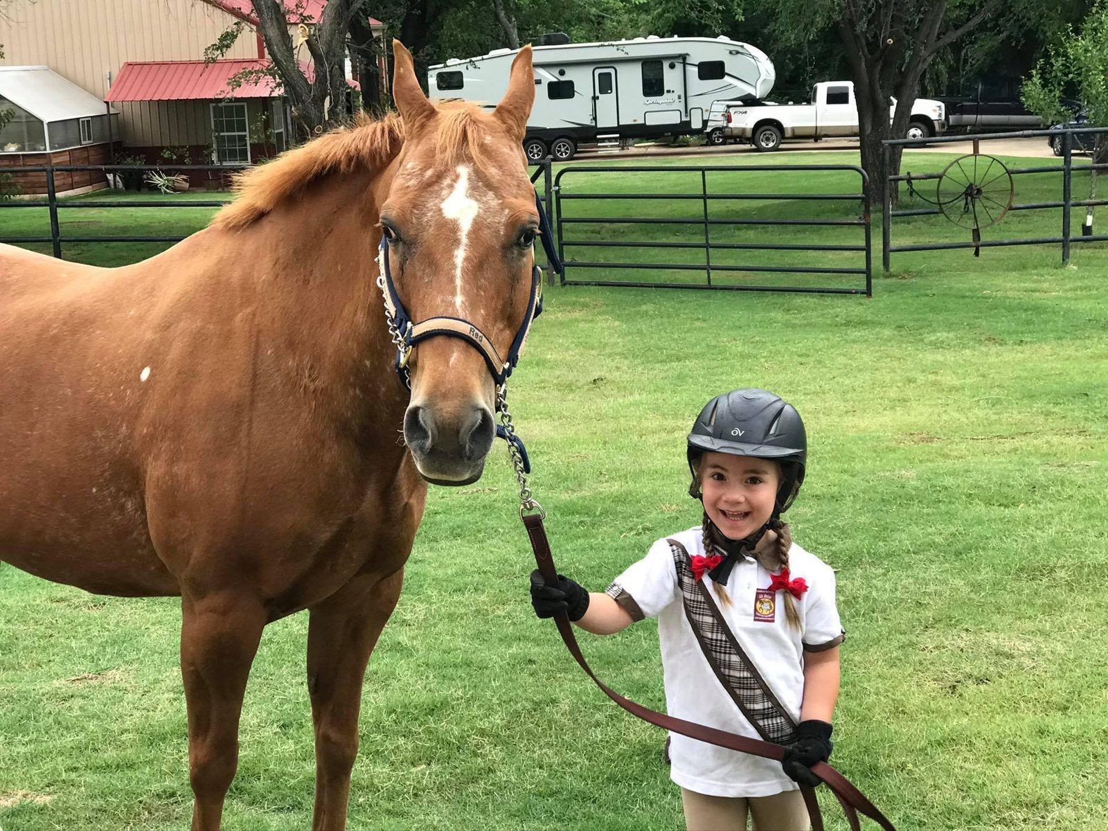 A girl in a helmet leads a chestnut horse across the yard.