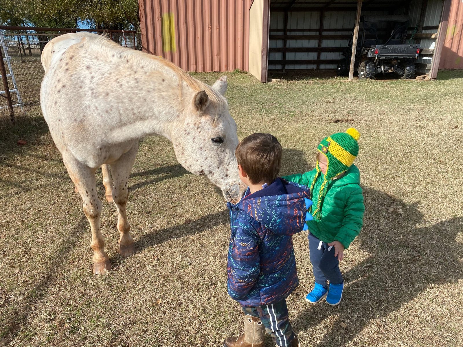 Two small children pet Jack, a white pony, in the yard.