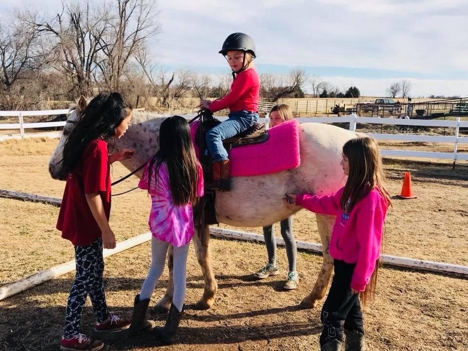 Campers gather around a spotted pony in the pasture while an instructor talks.